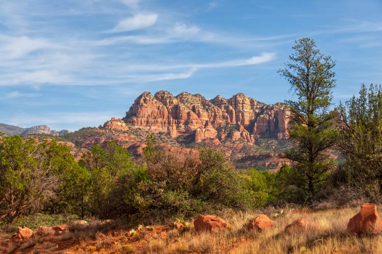 Coconino National Forest - Arizona Activities