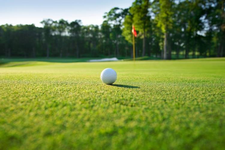 Golf ball on a putting green