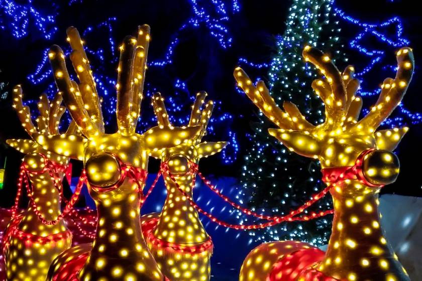 A Christmas light display featuring illuminated reindeer and tree lights