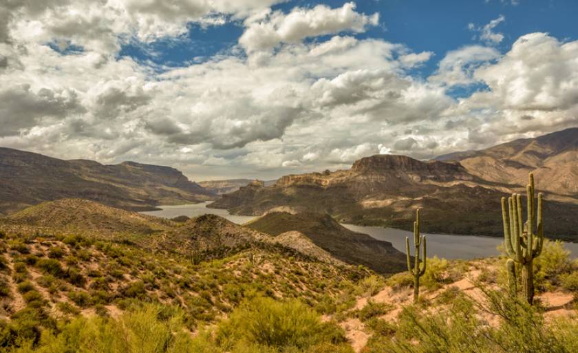 saguaro lake